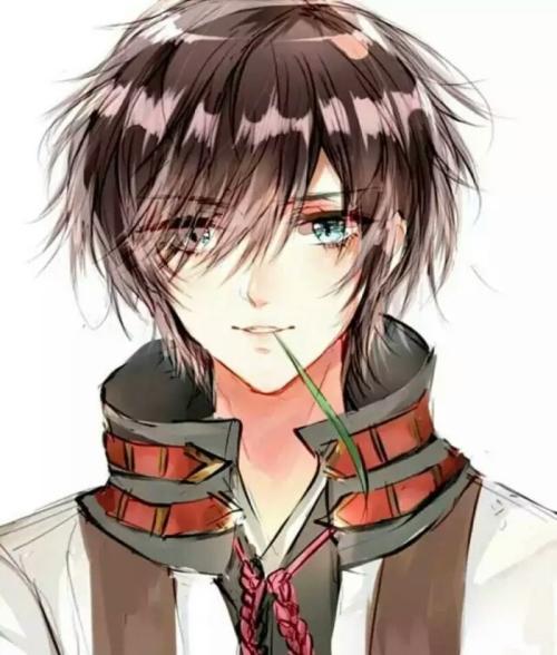 火影之銀色王座封面