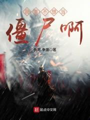 嚴(yán)先生封面