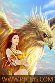 陸云葉傾城txt封面