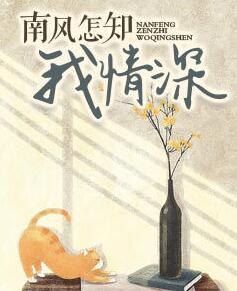 南風(fēng)怎知我情深封面