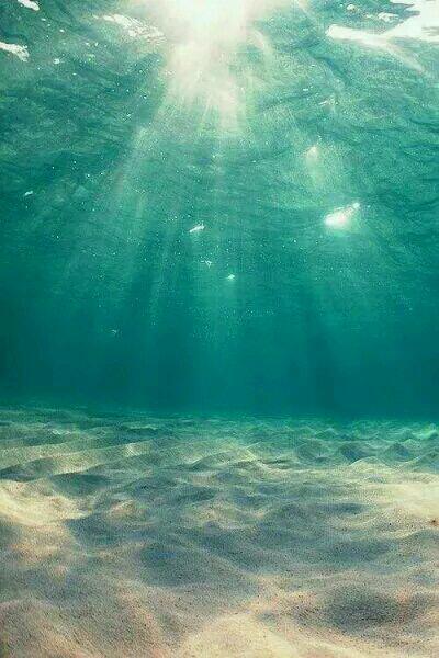 陸寒舟沈清歌小說封面