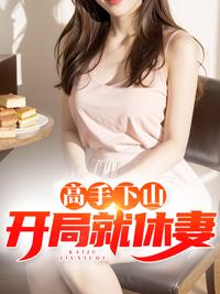 高手下山:開局就休妻封面