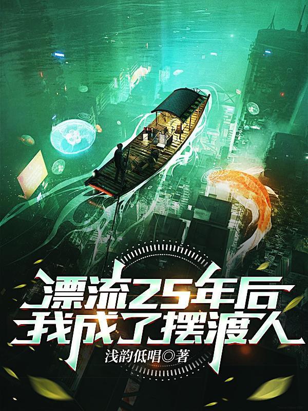 漂流25年后，我成了擺渡人封面