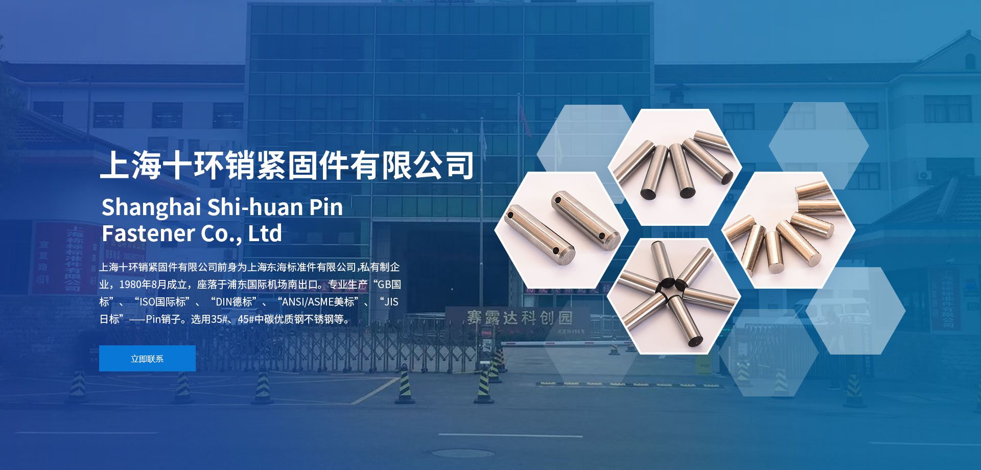 墨肆年白錦瑟小說書名封面