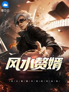 風(fēng)水贅婿封面